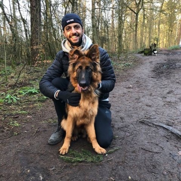 Meet your Posher, Vikram - Picture 1 of 1